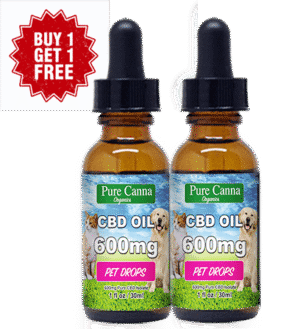 CBD Pet Oil